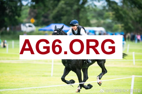 法甲第20轮里昂vs南特全场比赛录像回放2026年2月1日